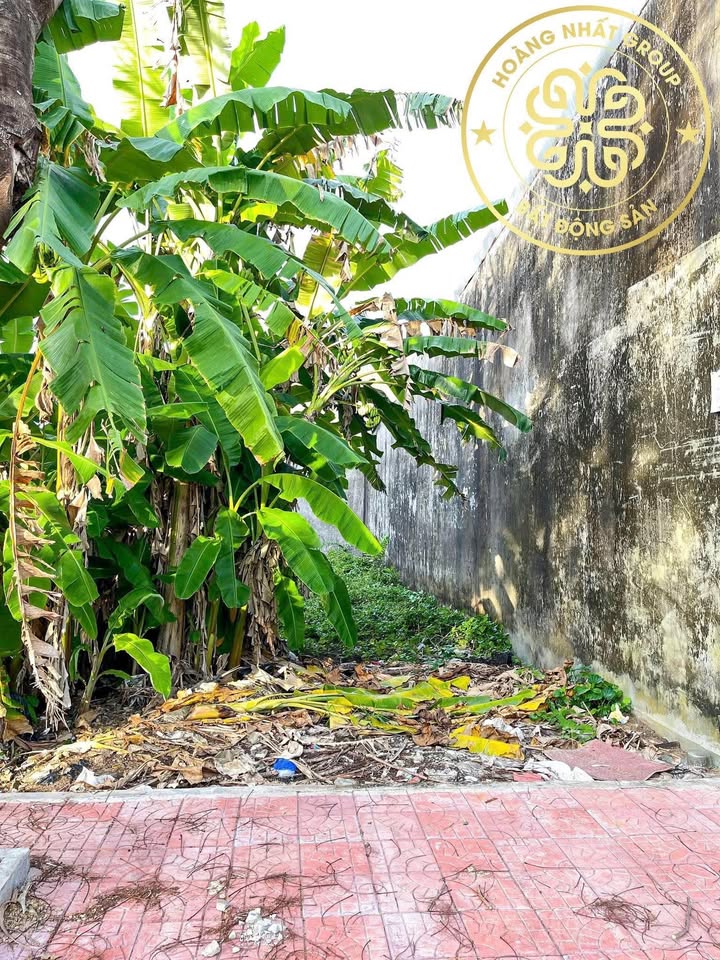 Bán Nền Đất KĐT Tài Lộc, Phan Xích Long, Cà Mau - 99m² Giá 1 Tỷ, Kinh Doanh Tốt