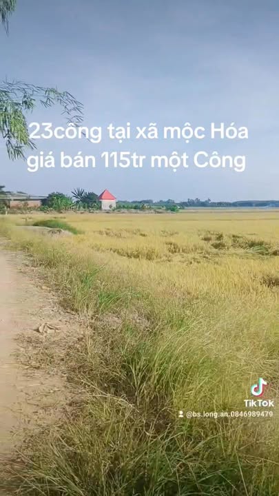 Bán Đất Vườn Long An 23.000m² - Giá Rẻ 2.64 Tỷ