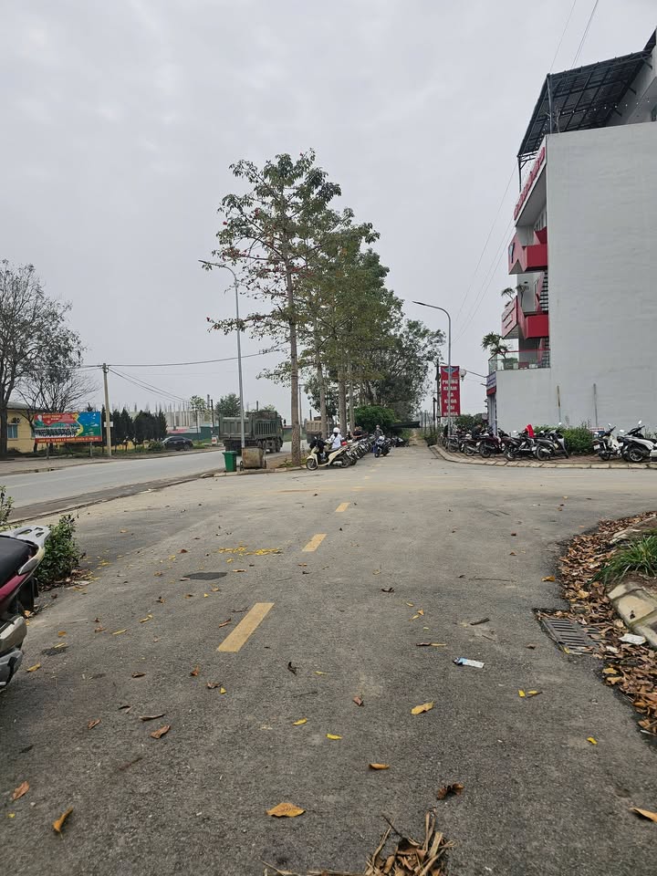 Đất Đấu Giá Đại Nghĩa - Mỹ Đức 110m² Kinh Doanh Sầm Uất, Giá Tốt