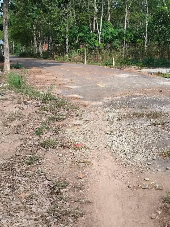 Đất Nền Tân Hiệp – Phú Giáo 100m² Giá 610 Triệu - Lô Đẹp Giá Tốt Nhất