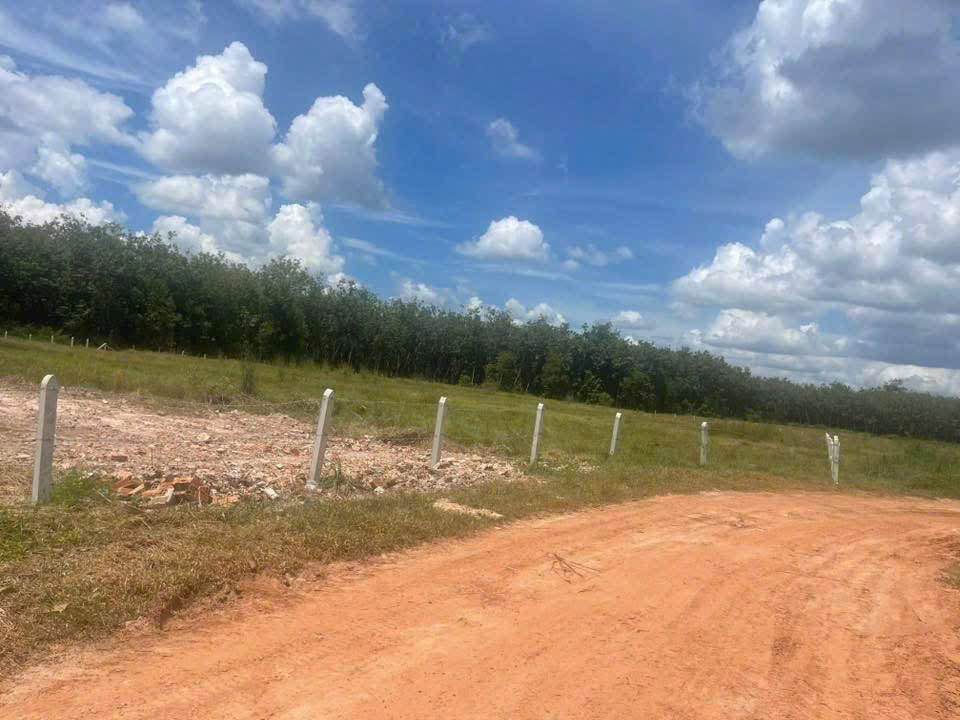 Bán Đất Vườn 6400m² Mặt Tiền Đường Đỏ - Bình Dương 650 Triệu