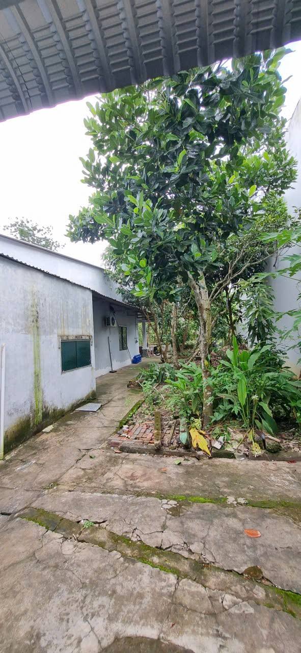 Nhà Vườn Sóc Trăng 205m² - Hẻm 121 Võ Văn Kiệt, Hướng Đông Nam, Giá 2 Tỷ Tốt