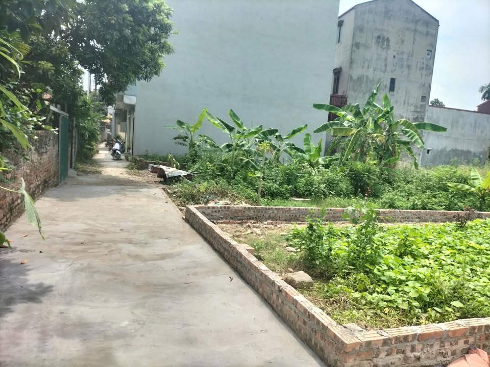 Đất nền 50m² Đông Anh - Sổ đỏ sẵn sàng, gần Vinhomes Cổ Loa