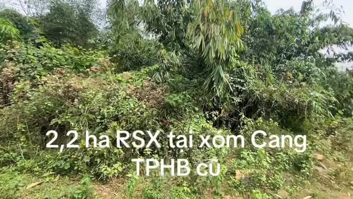 Bán Gấp 22.000m² Đất Vườn Xóm Cang, TP. Hòa Bình - Thế Thoai Thoải, Đường Ô Tô