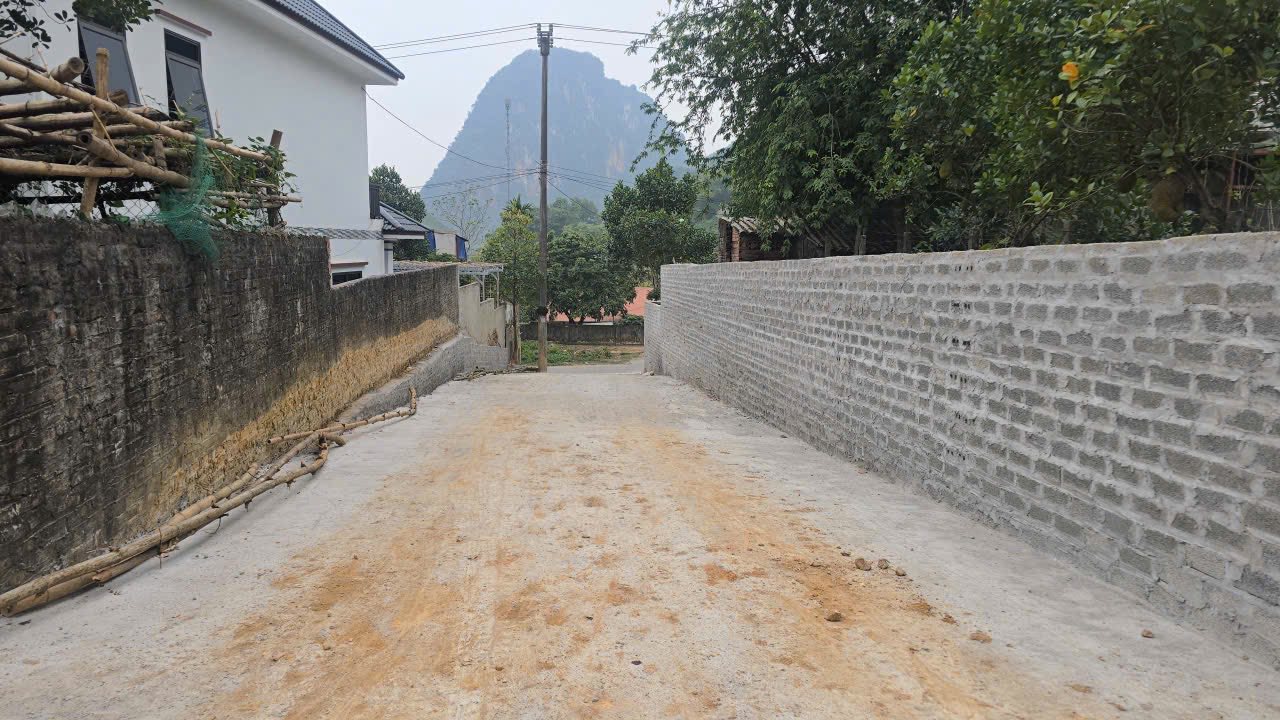 Đất Vườn Hòa Bình 3762m² - Lưng Tựa Núi, Phong Thủy Tốt, Giá Đầu Tư 3 Triệu/m²