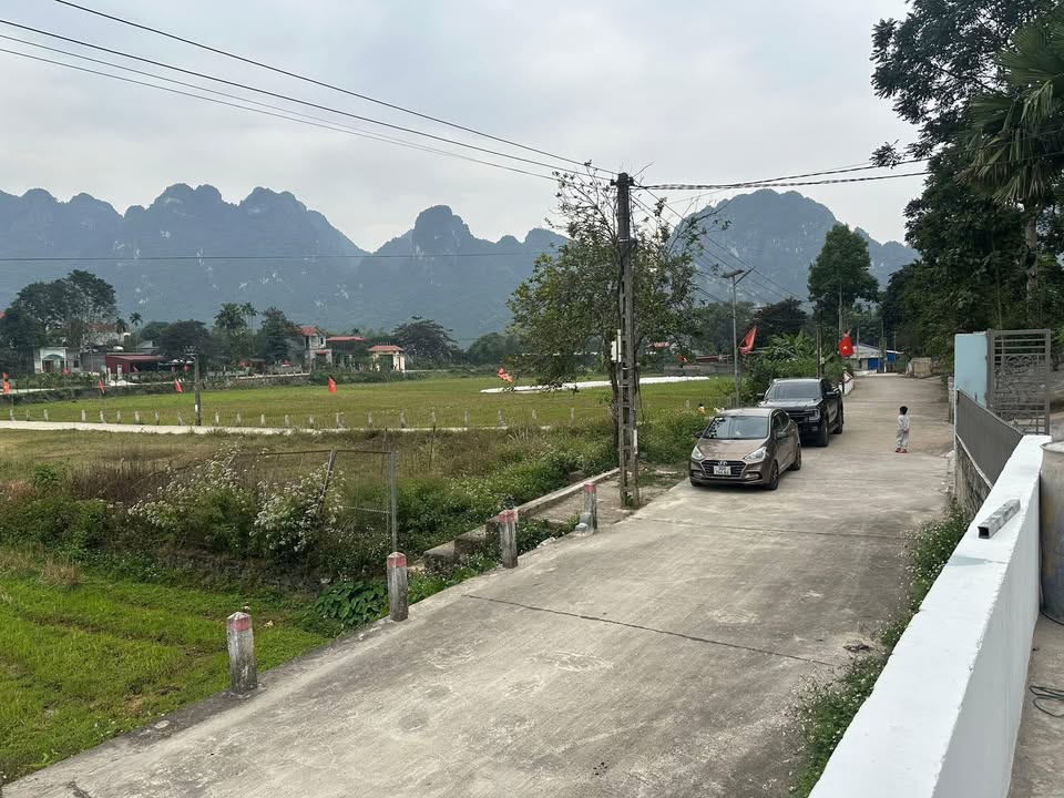 Đất nền Kim Bôi, Hoà Bình 260m² - Sổ hồng sẵn, view đồng thoáng đãng