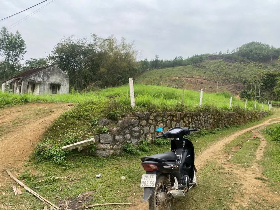 Đất Nền Lạc Lương Yên Thủy 3500m² Hơn 3 Tỷ - Nghỉ Dưỡng Lý Tưởng!