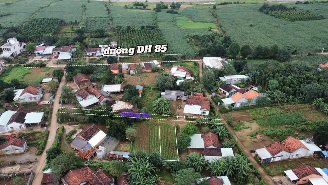 Đất thổ cư Sơn Thành Đông, Phú Yên - 210m² giá chỉ 3xx triệu