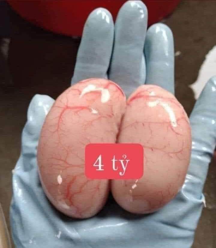 Đất nền Bãi Cháy Hạ Long 46m² - Hơn 1 tỷ sở hữu ngay!