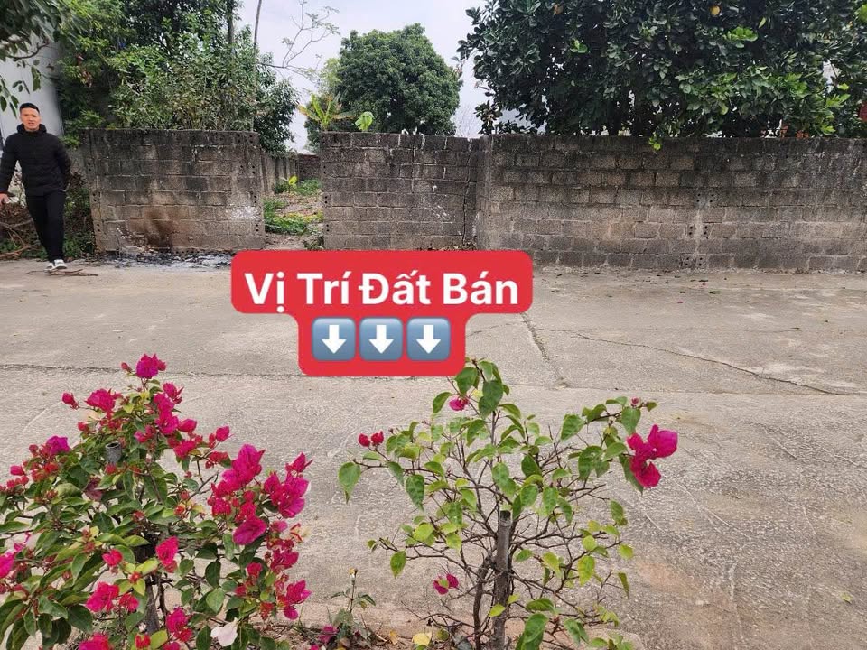 Đất nền Hợp Thanh Mỹ Đức 183m² giá 1.05 tỷ - Hạ tầng hoàn thiện