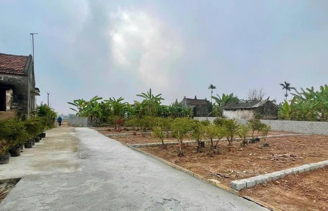 Bán đất 80.5m² Kim Động, Hưng Yên - Đường ô tô, dân đông, giá chỉ 3xx triệu