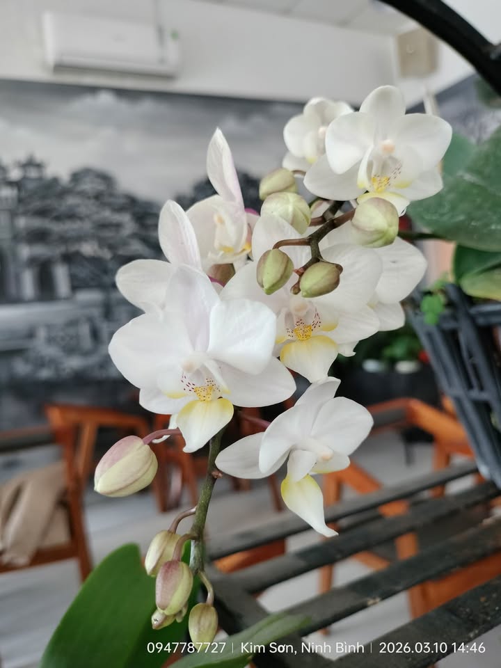 Đất nền Hướng Bắc Kim Sơn 144m² - Sẵn Sổ Đỏ, Giá Đầu Tư 1.4 tỷ