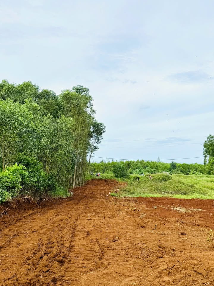 Đất nền mặt tiền 526.4m² - Ngay biển Cửa Tùng, Quảng Trị - Tiềm năng kinh doanh