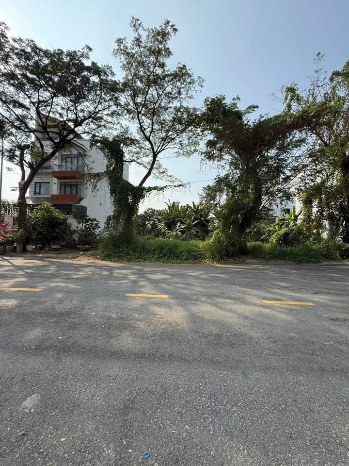 Townhouse Mặt Tiền Đường 9 Phong Phú Bình Chánh 160m² - Kinh Doanh Đắc Lợi