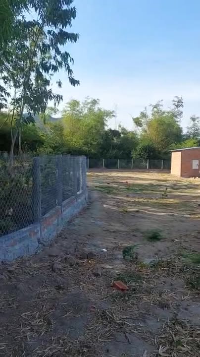 Đất Vườn 500m² Cát Hải - Sổ Đỏ, Gần Biển, Giá Chỉ Từ 2xx Triệu