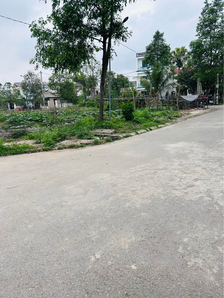 Đất nền Quảng Hưng, TP Thanh Hóa 245m² - Sổ đỏ chính chủ, giá mềm!