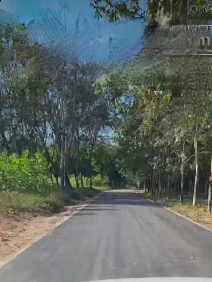 Bán đất nền 325m² Hưng Hòa, Bàu Bàng - Sổ hồng riêng, giá 800 triệu