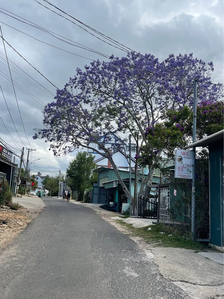 Bán Đất Vàng Đà Lạt 410m² Mặt Tiền Cao Bá Quát - Sẵn Sàng Xây Dựng