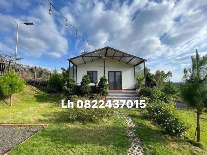 Đất Vàng Gò Vấp 200m² Sổ Hồng Riêng - Giá 180 Triệu, Cơ Hội Đầu Tư Vàng