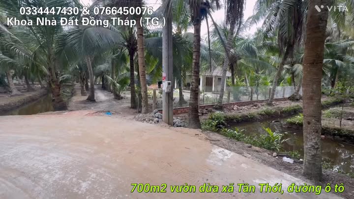 Đất Vườn 700m² Sổ Hồng Riêng Tân Phú Đông, Tiền Giang - 450 Triệu