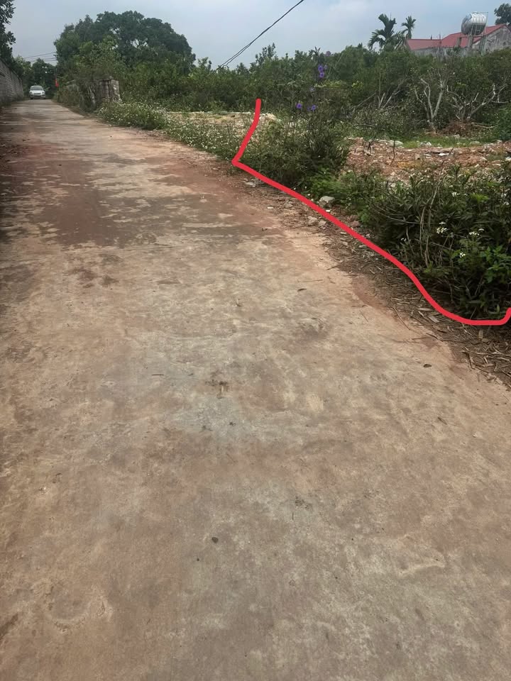 Bán Đất Vàng Phường Chũ, Bắc Ninh 397m² - Mặt Tiền 10m, Giá Rẻ 6xx Triệu