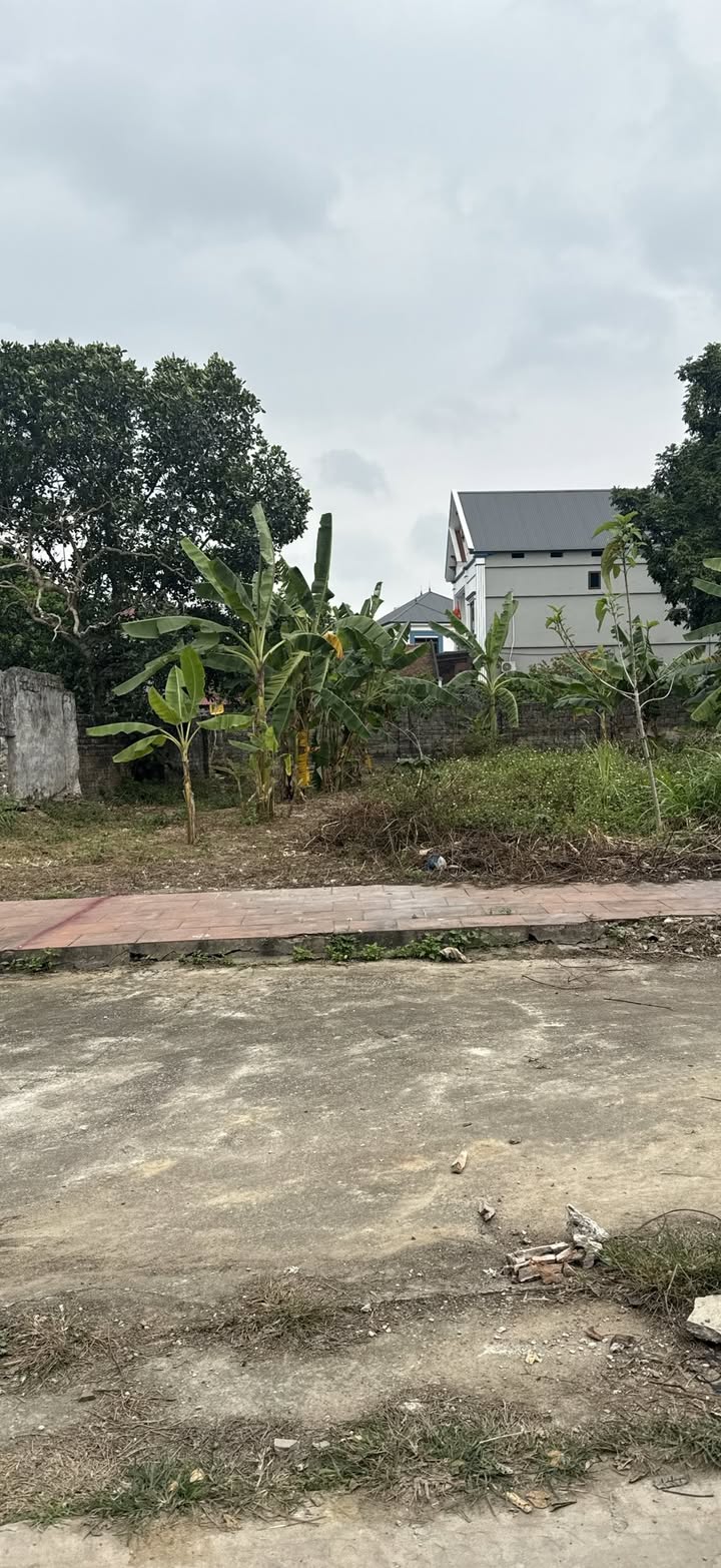 Đất Lương Phong, Hiệp Hòa, Bắc Giang 141m² - Giá Tốt, Sổ Đỏ TC