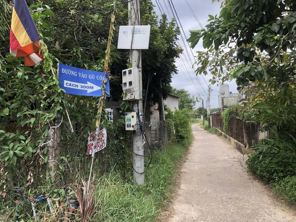 Bán Gấp Đất Thổ Cư 101m² Hàm Thắng, Lâm Đồng - Hạ Giá Sốc Còn 450 Triệu