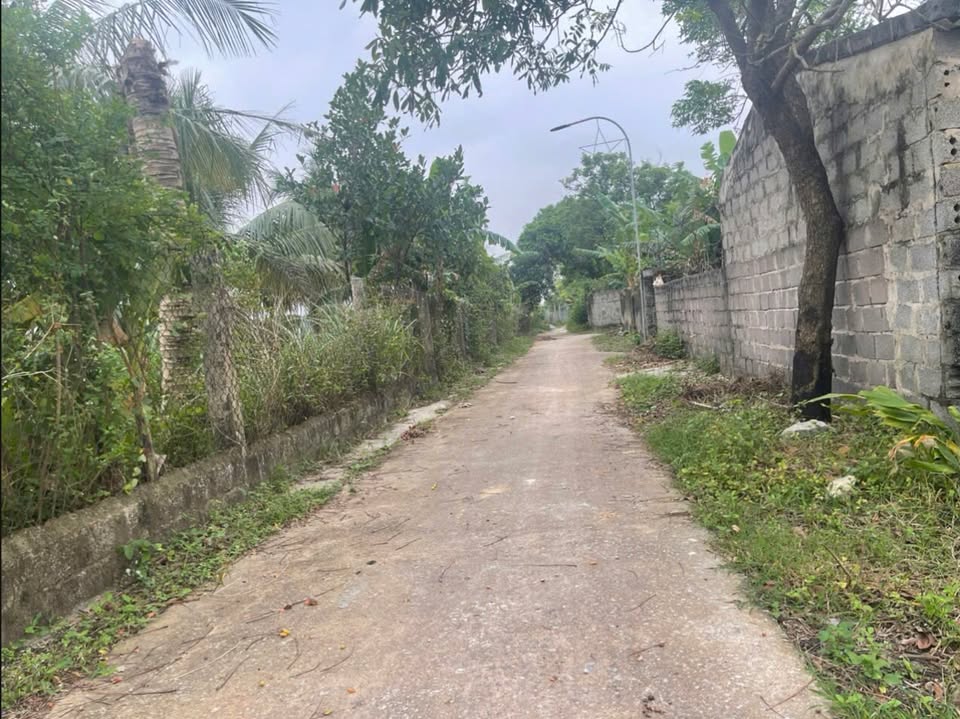 Đất Nền Nga Sơn 100m² Sổ Đỏ Sẵn Sàng - Gần QL10