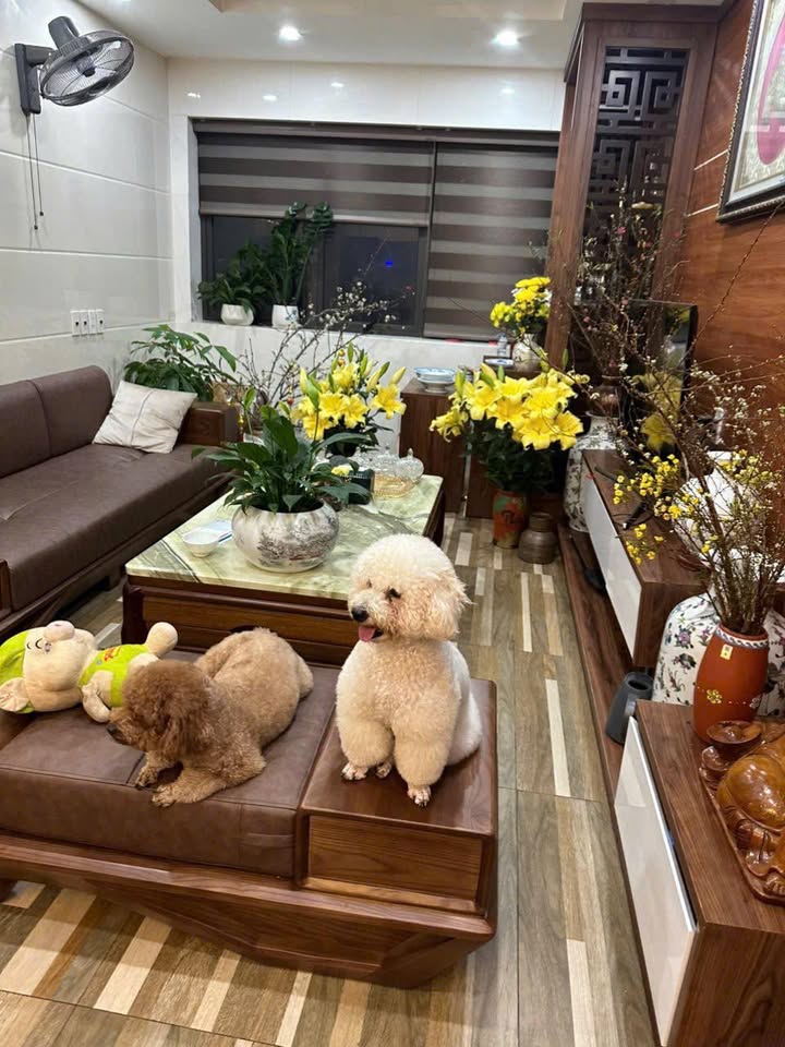 Cho thuê căn hộ 96m² Chung cư Bảo Sơn, Trà Vinh - Sẵn nội thất, 8 triệu/tháng