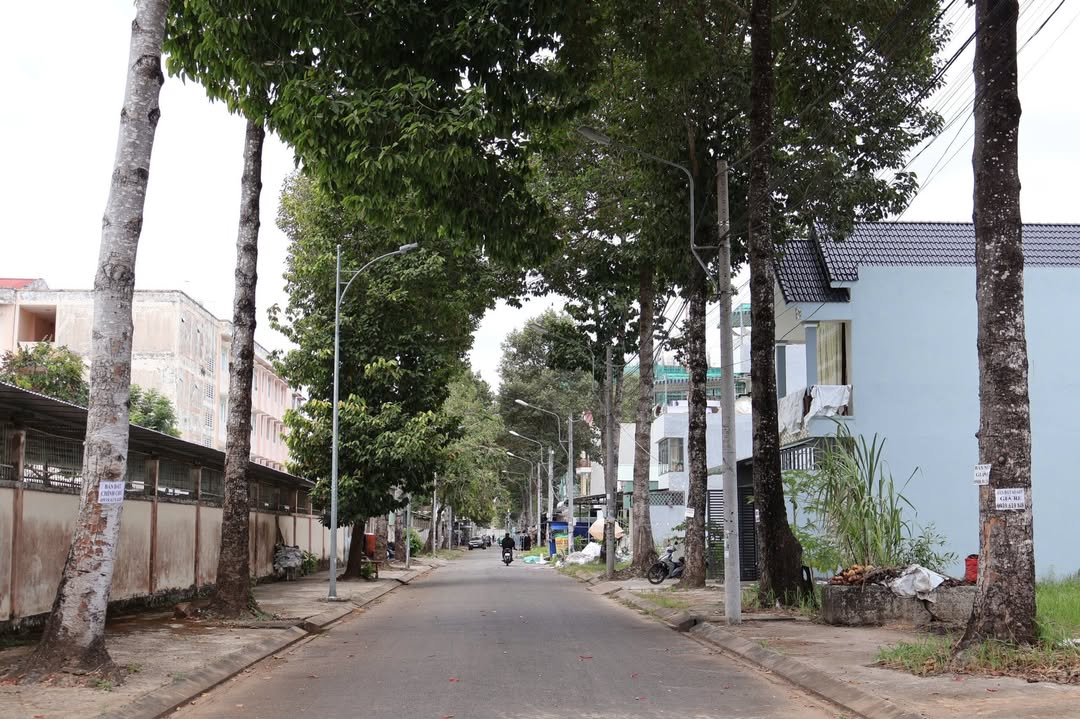 Bán Đất Nền KDC Ngân Thuận, Bình Thủy - 94m², Sổ Hồng, Đối Diện Trường Cấp 3