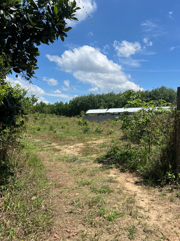 Đất Vĩnh Cửu 814m² - Sổ Riêng Thổ Cư, Giá 1.85 Tỷ