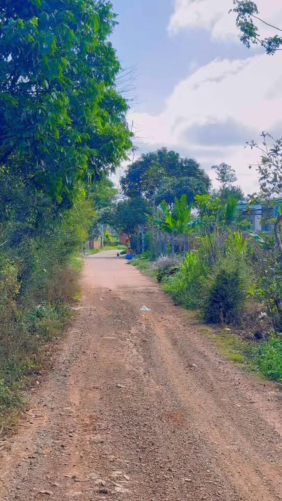 Đất Vườn P. Thống Nhất, Buôn Hồ - 500m² Thổ Cư, Giá 80 Tỷ