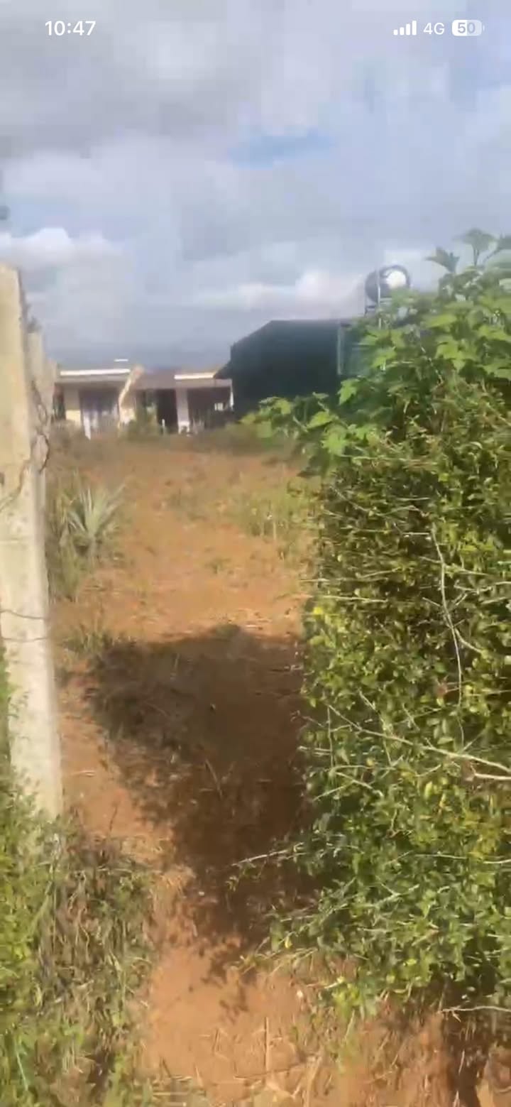 Đất Nền Nguyễn Trung Trực, Buôn Hồ - 110m² - Giá Đầu Tư 9xx Triệu