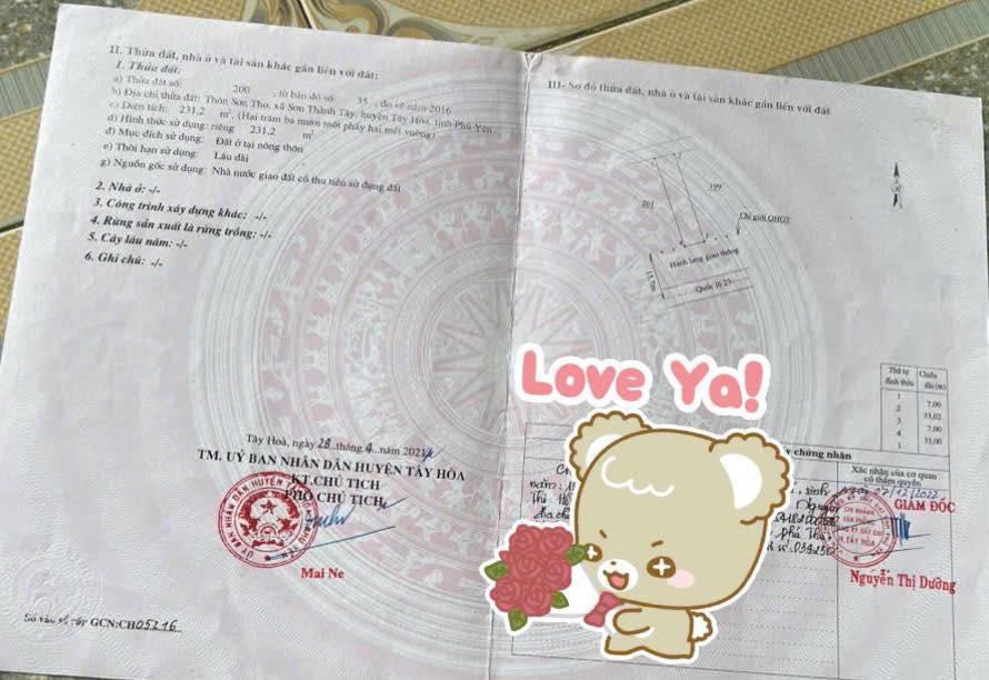 Đất Mặt Tiền QL29, Tây Hoà, Phú Yên 231m² - Sổ Hồng Riêng, Kinh Doanh Tốt