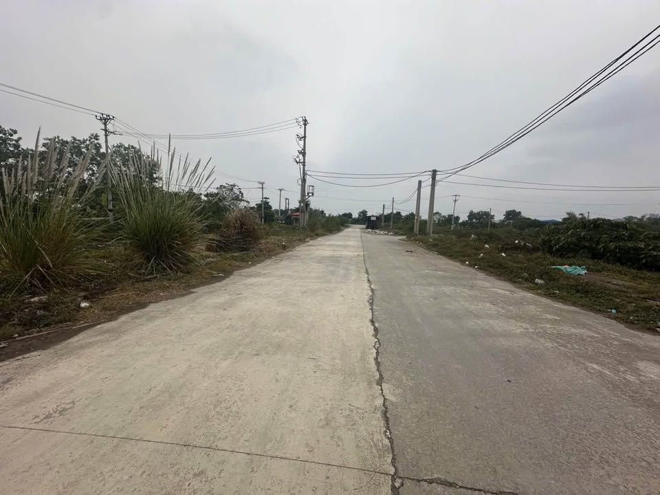 Đất Vườn Tam Cốc Ninh Bình 308m² - Đầu tư sinh lời kép