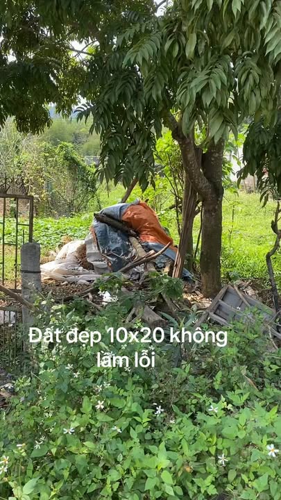 Đất Nền Cúc Phương Nho Quan 200m² - Sổ Đỏ Chính Chủ Giá 3.2 Tỷ