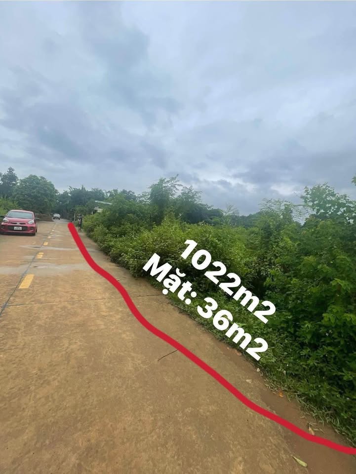 Đất Vườn 1022.5m² Quỳnh Lưu, Nho Quan - Sổ Đỏ Chính Chủ, Gần Chùa Bái Đính