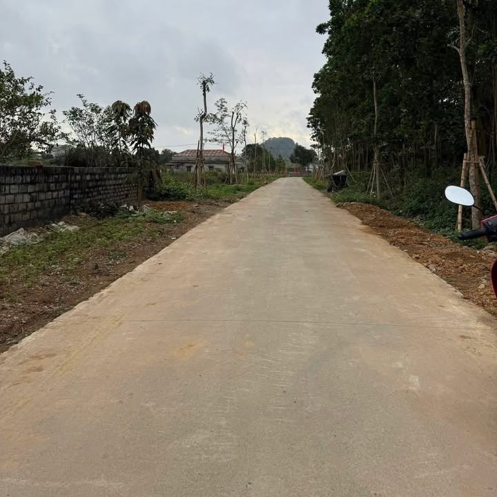 Đất Vàng 2 Mặt Tiền Yên Đồng, Ninh Bình - 142m² Giá Tốt