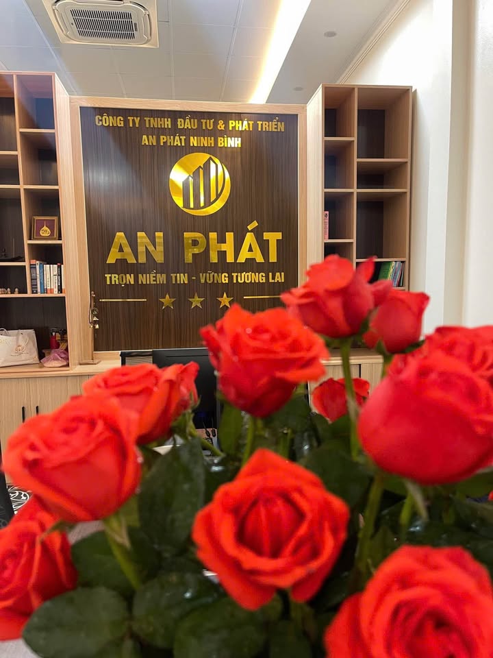 Nhà Mặt Tiền Đường Thành Công, Hoa Lư - Kinh Doanh Đắc Lợi, 80m², Giá 12 Tỷ