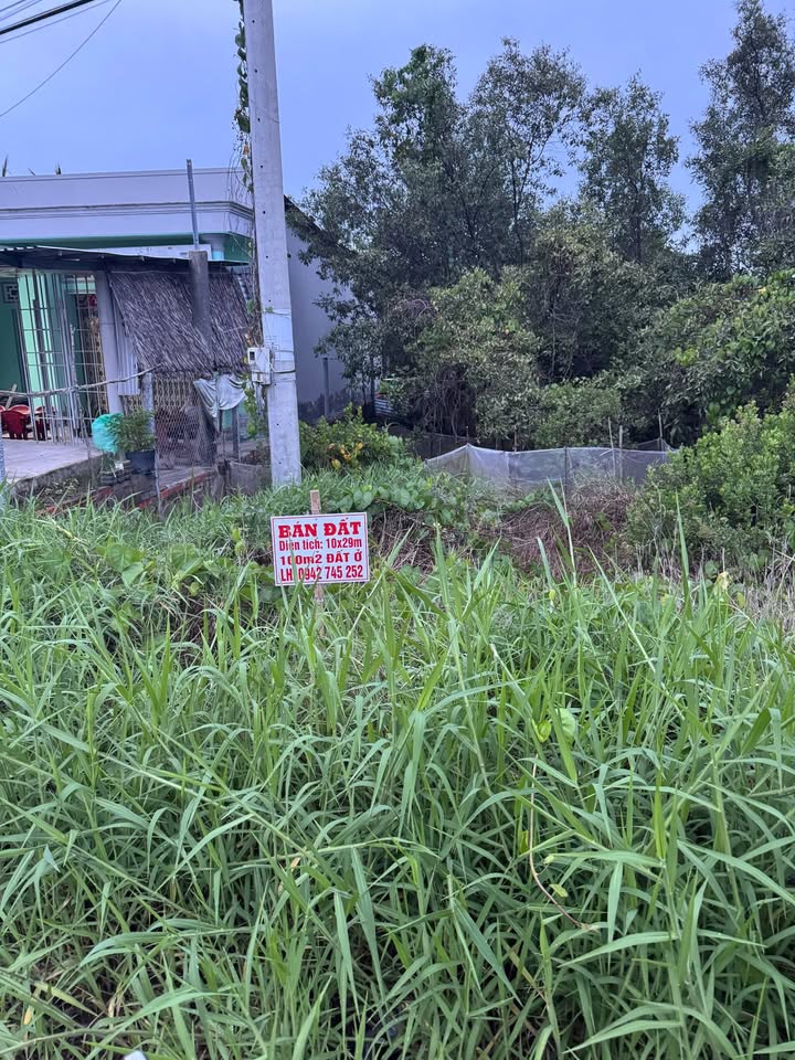 Đất Nền Tân Trung Cà Mau 266m² - Sổ Hồng Sẵn Sàng Giao Dịch