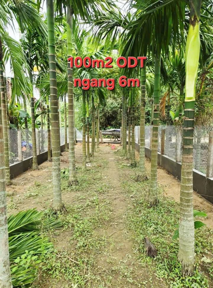 Đất thổ cư 100m² Thị trấn Chợ Chùa, Nghĩa Hành - Sổ đỏ sẵn sàng