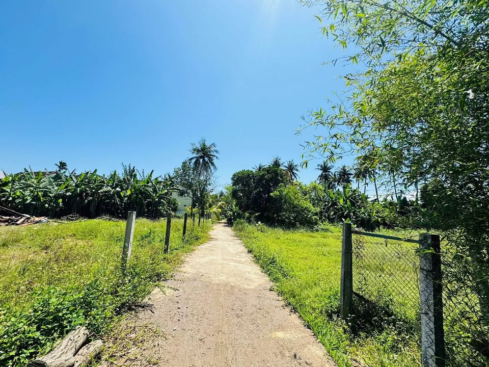 Đất nền Nghĩa Hòa 190m² - Gần Biển Sa Huỳnh, Giá chỉ 6xx Tỷ