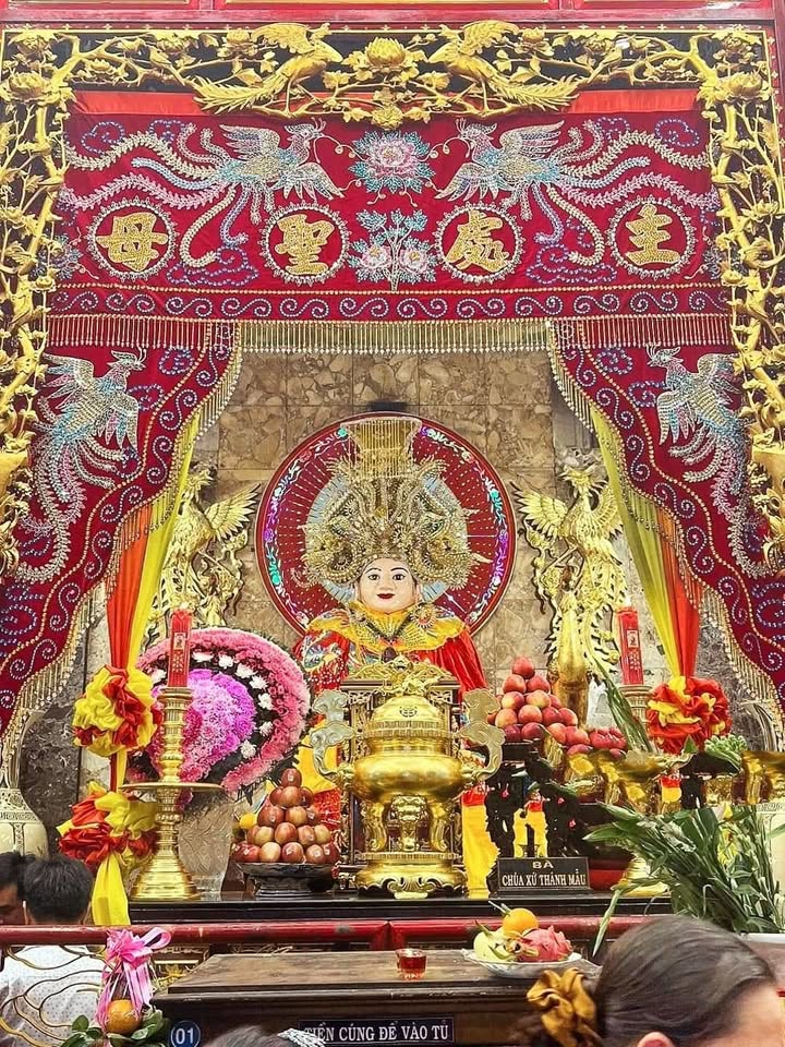 Nhà cấp 4 100m² hẻm 780 Bình Giã, P11, Vũng Tàu - Sổ hồng riêng, giá 2.55 tỷ