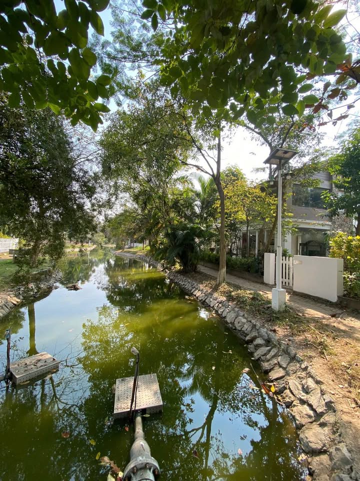 Biệt thự 600m² Viglacera Hoàn Sơn cho thuê - Không gian sống xanh lý tưởng