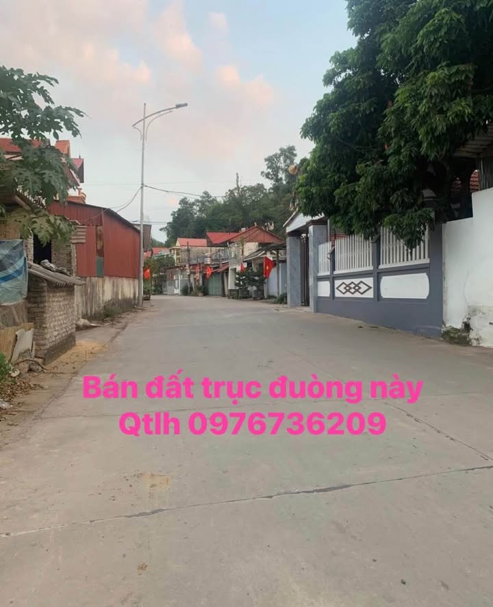 Đất Nền Trục Chính Tân Liễu, Lạng Giang 100m² - Kinh Doanh Đắc Lợi