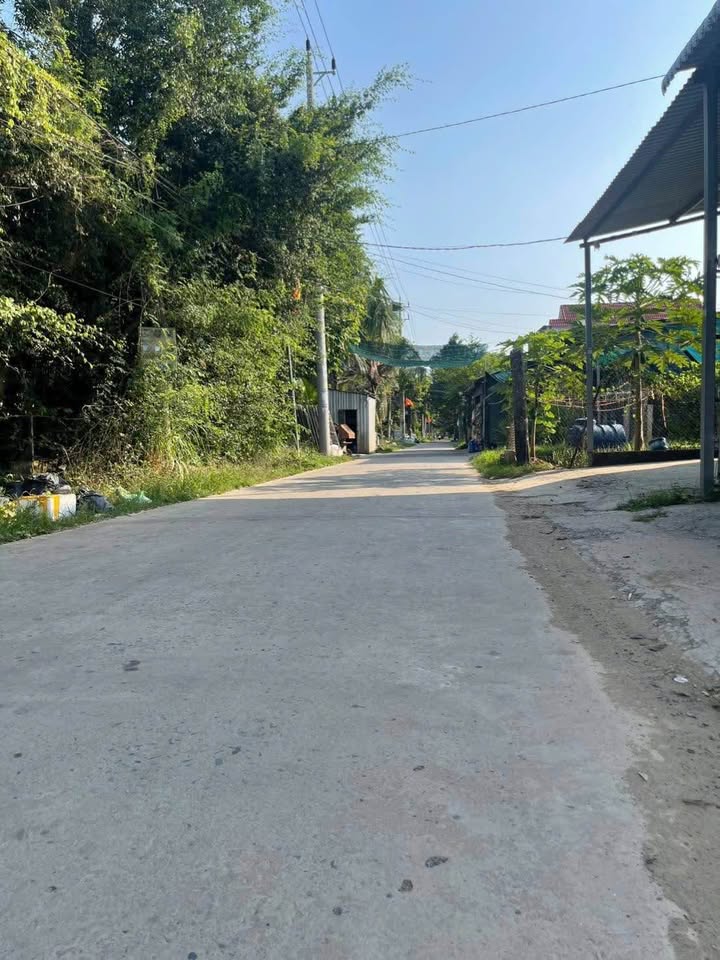 Bán Đất Mặt Tiền Lộ Thanh Sang, Châu Thành, Bến Tre - 140m², 790 Triệu