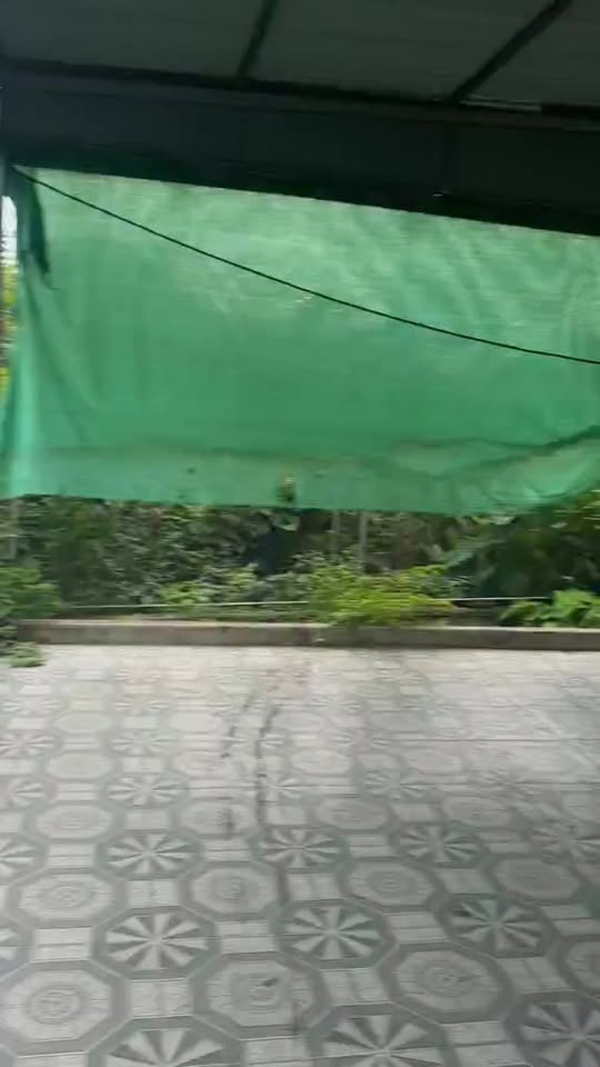 Đất Nền Đức Thọ, Hà Tĩnh - 230m² Sẵn Sàng Kinh Doanh