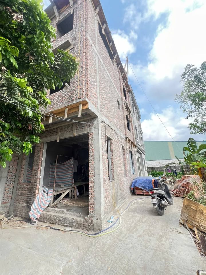 Nhà Phố Bùi Thị Tự Nhiên, Hải An - 41m² Full Nội Thất, Giá Tốt