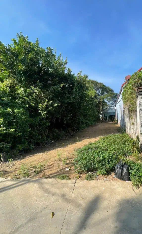 Bán Đất Thổ Cư 155m² Đường Lộ Dal, Sóc Trăng - Giá 1.15 Tỷ