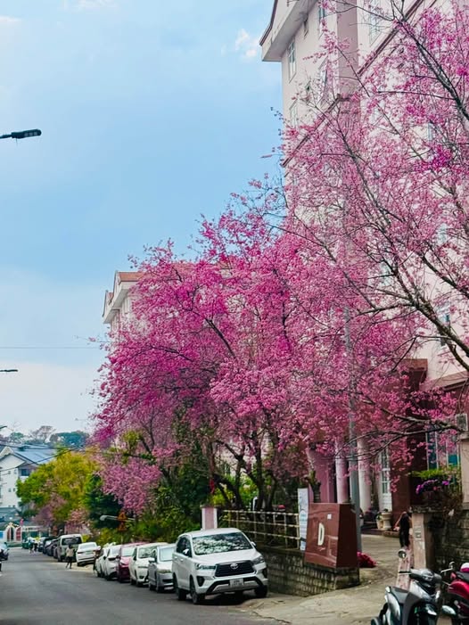 Đất nền mặt tiền QL20, Đức Trọng - 455m², 2 mặt tiền, kinh doanh lý tưởng